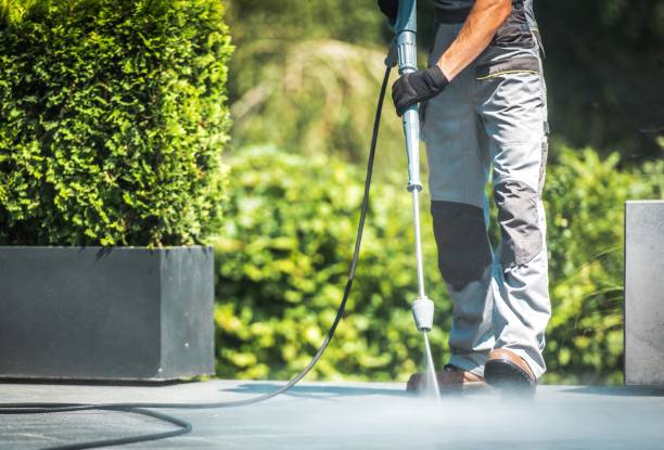 Best Animal Enclosure Cleaning  in Sterling Ranch, CO